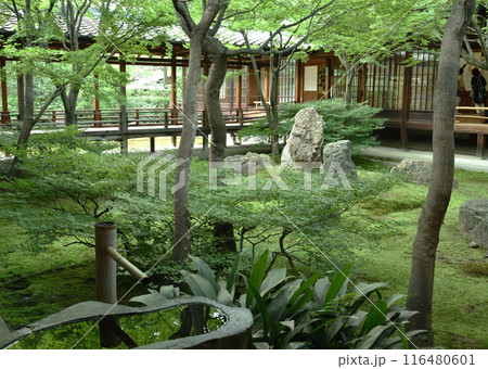 建仁寺 方丈中庭 潮音庭 建仁寺 方丈中庭 潮音庭 116480601