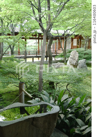 建仁寺 方丈中庭 潮音庭 建仁寺 方丈中庭 潮音庭 116480603