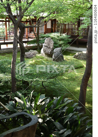 建仁寺 方丈中庭 潮音庭 建仁寺 方丈中庭 潮音庭 116480604