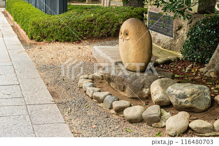 松戸神社のフクロウの像 松戸神社のフクロウの像 116480703