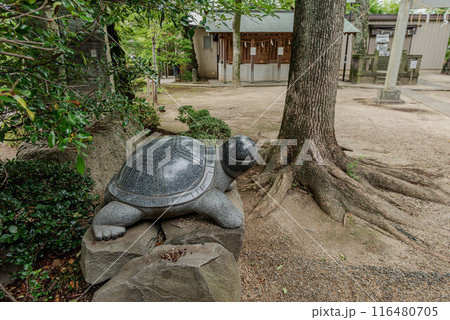 松戸神社の亀の像 松戸神社の亀の像 116480705