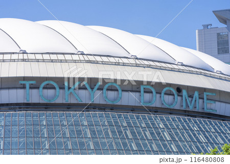 東京ドーム 東京ドーム 116480808