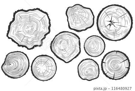 Tree trunk cuts with cracks, wood saw cuts set, timber texture, segment of tree growth rings, vector Tree trunk cuts with cracks, wood saw cuts set, timber texture, segment of tree growth rings, vector 116480927