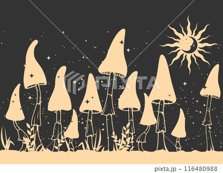 Mystical toadstools, boho style mushrooms over night sky and moon, witchcraft symbol, magic mushrooms, vector 116480988
