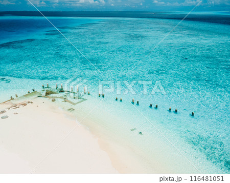 Tropical beach with blue ocean, drone view sunny day Tropical beach with blue ocean, drone view sunny day 116481051