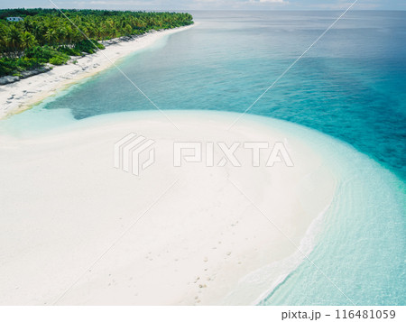 Maldive island with blue ocean, tropical sandy beach with palms trees Maldive island with blue ocean, tropical sandy beach with palms trees 116481059