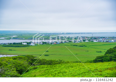 【北海道】道東の琵琶瀬展望台から眺める霧多布湿原 116481242