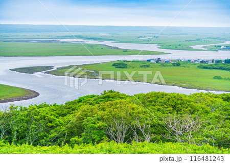 【北海道】道東の琵琶瀬展望台から眺める霧多布湿原 【北海道】道東の琵琶瀬展望台から眺める霧多布湿原 116481243