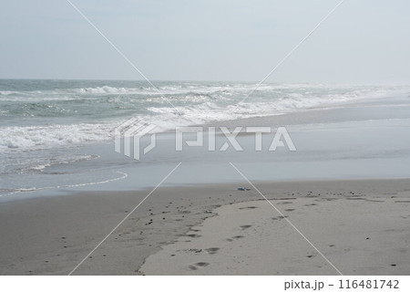 遠州灘　波　砂浜に打ち寄せる波 116481742