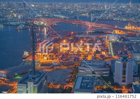 [夜景]さきしまコスモタワー展望台[夜景100選・日本夜景遺産] 116481752
