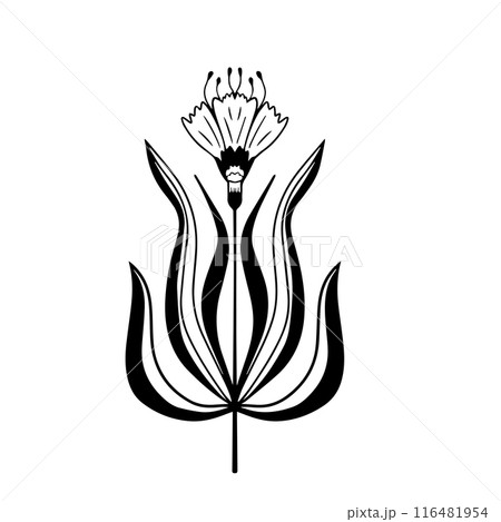 linocut flower decorative black and white, Doodle line art style. Vector illustration linocut flower decorative black and white, Doodle line art style. Vector illustration 116481954