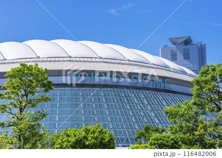 東京ドーム 116482006