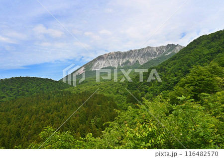 鳥取県江府町 鍵掛峠から望む新緑の大山 116482570