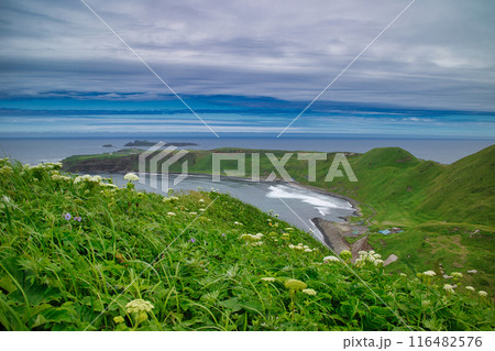 礼文島ゴロタ岬からの風景 116482576