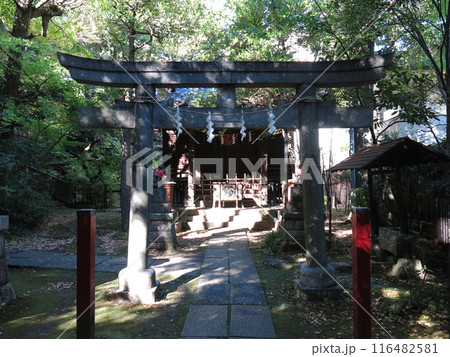 東京都港区の赤坂氷川神社境内にある四合稲荷 116482581