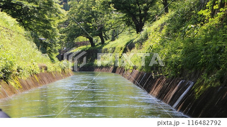 滋賀県大津市 琵琶湖疏水と新緑 滋賀県大津市 琵琶湖疏水と新緑 116482792