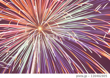 京都芸術花火は鮮やかな花火ばかりで感動しました！ 116482805