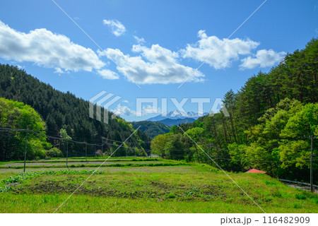 新緑と残雪の御岳山【木曽郡木曽町より撮影】 新緑と残雪の御岳山【木曽郡木曽町より撮影】 116482909