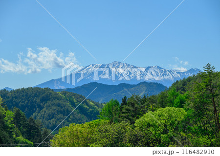 新緑と残雪の御岳山【木曽郡木曽町より撮影】 新緑と残雪の御岳山【木曽郡木曽町より撮影】 116482910