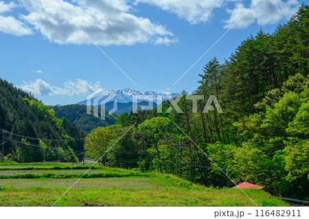 新緑と残雪の御岳山【木曽郡木曽町より撮影】 116482911