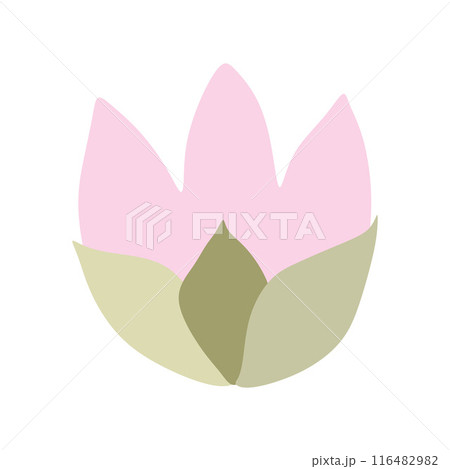 Tulip flower head hand drawn flat illustration. Spring blossom, pink bloom, floral element. Vector design, isolated. Mothers Day, Easter, seasonal, botanical clip art Tulip flower head hand drawn flat illustration. Spring blossom, pink bloom, floral element. Vector design, isolated. Mothers Day, Easter, seasonal, botanical clip art 116482982