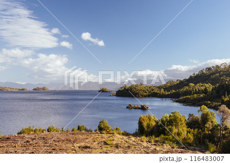 Lake Pedder Landscape in Tasmania Australia 116483007
