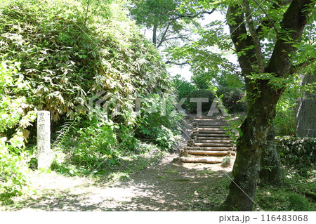 黒羽城址公園/栃木県大田原市 黒羽城址公園/栃木県大田原市 116483068