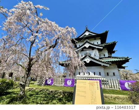【青森県】弘前城と桜 【青森県】弘前城と桜 116483317
