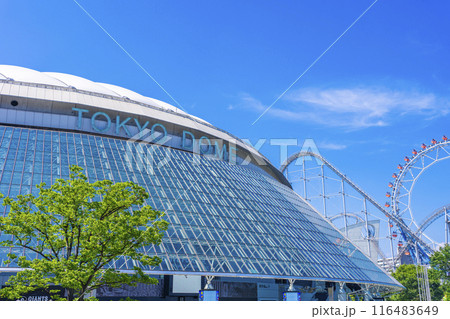 東京ドーム 116483649