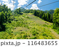 Cable car seats soar over beautiful mountains on a sunny day in Krasnaya Polyana 116483655