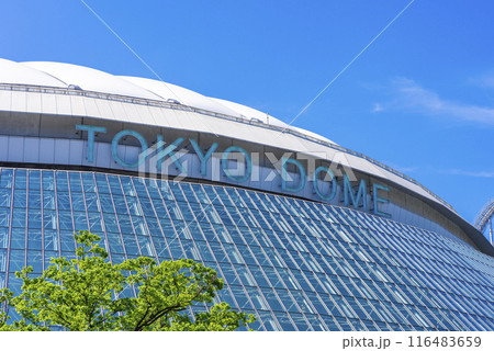 東京ドーム 東京ドーム 116483659