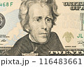 Details of cash American twenty dollars. 116483661
