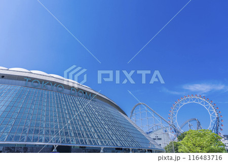 東京ドーム 116483716