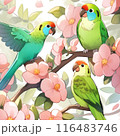 可愛いインコと花 116483746