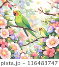 可愛いインコと花 116483747
