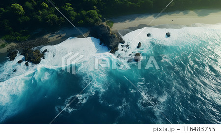 Beautiful white sandy beach with blue water. Aerial view. 116483755