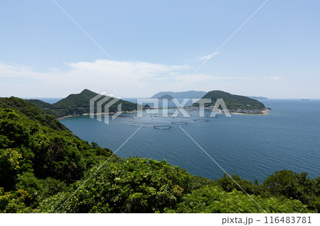 柏島(高知県大月町) 柏島(高知県大月町) 116483781