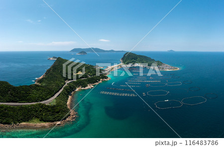 柏島(高知県大月町) 柏島(高知県大月町) 116483786