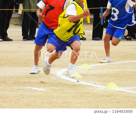 運動会で走る小学生 運動会で走る小学生 116483800