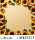 黄色いひまわりのフレーム 116483908