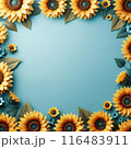 青い背景とひまわりのフレーム 116483911