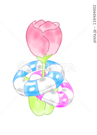 レトロなチューリップと浮き輪 レトロなチューリップと浮き輪 116484002