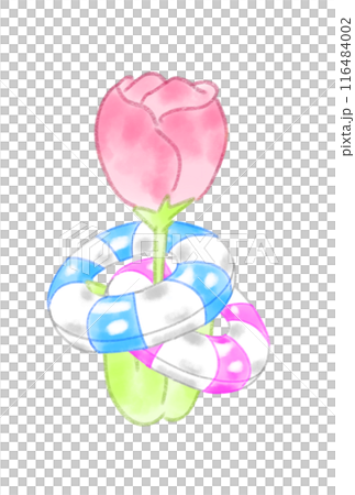 レトロなチューリップと浮き輪 レトロなチューリップと浮き輪 116484002