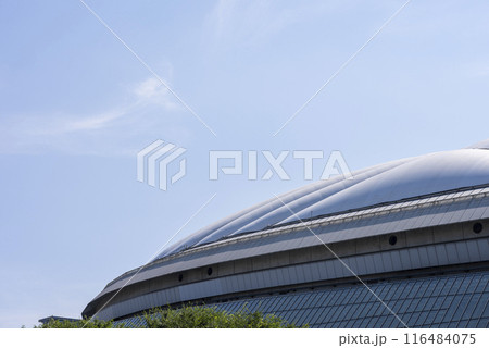 東京ドーム 116484075