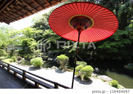 滋賀県大津市 圓満院門跡の日本庭園 滋賀県大津市 圓満院門跡の日本庭園 116484097