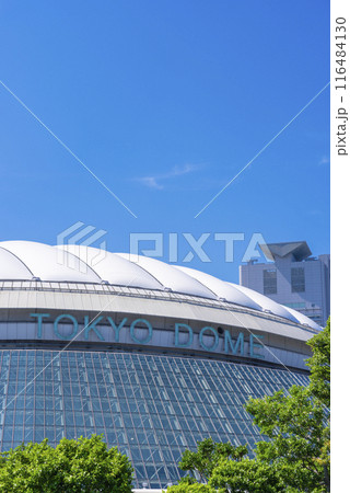 【縦写真】東京ドーム 116484130