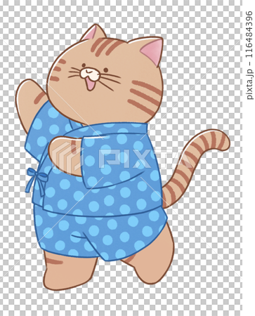 穿著錦杯跳盆舞的貓 116484396