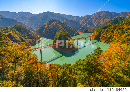 奥大井湖上駅の紅葉 秋の絶景 静岡県 奥大井湖上駅の紅葉 秋の絶景 静岡県 116484423