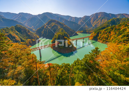 奥大井湖上駅の紅葉 奥大井湖上駅の紅葉 116484424