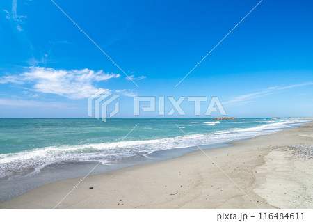 浜松市にある中田島砂丘の美しい海岸の風景(静岡県) 浜松市にある中田島砂丘の美しい海岸の風景(静岡県) 116484611